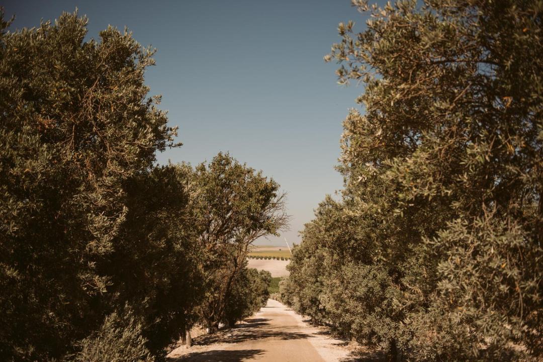 Photo of Others in Jerez de la Frontera