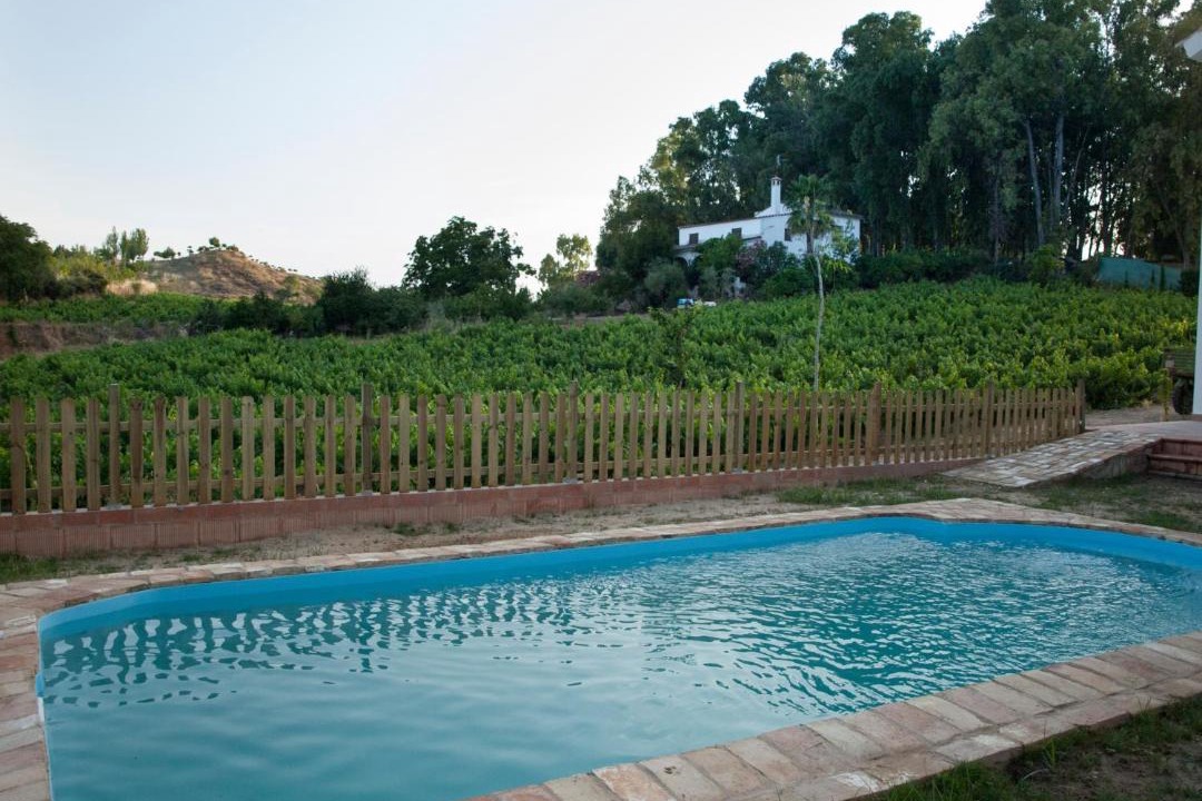 Photo of Others in Montemayor