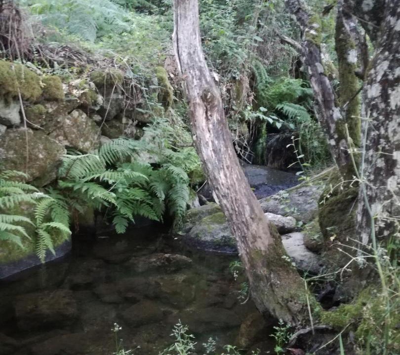 Photo of Others in Cepeda