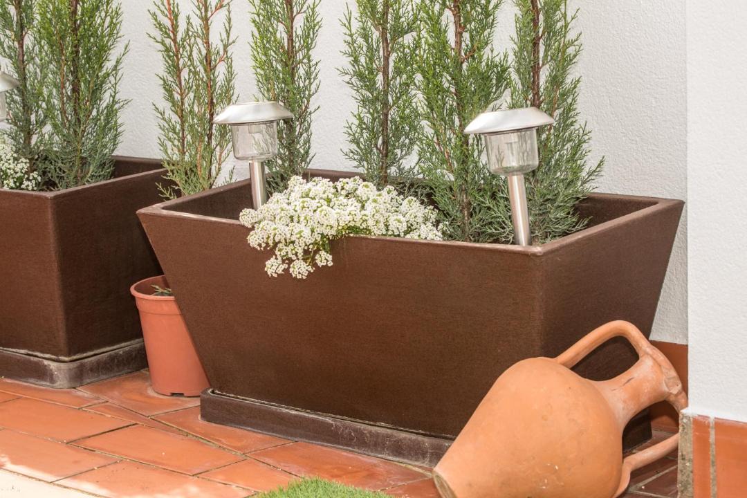 Photo of Patio Balcony in San Miguel-Capuchinos