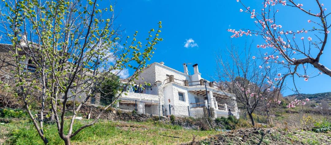 Photo of Others in Capileira