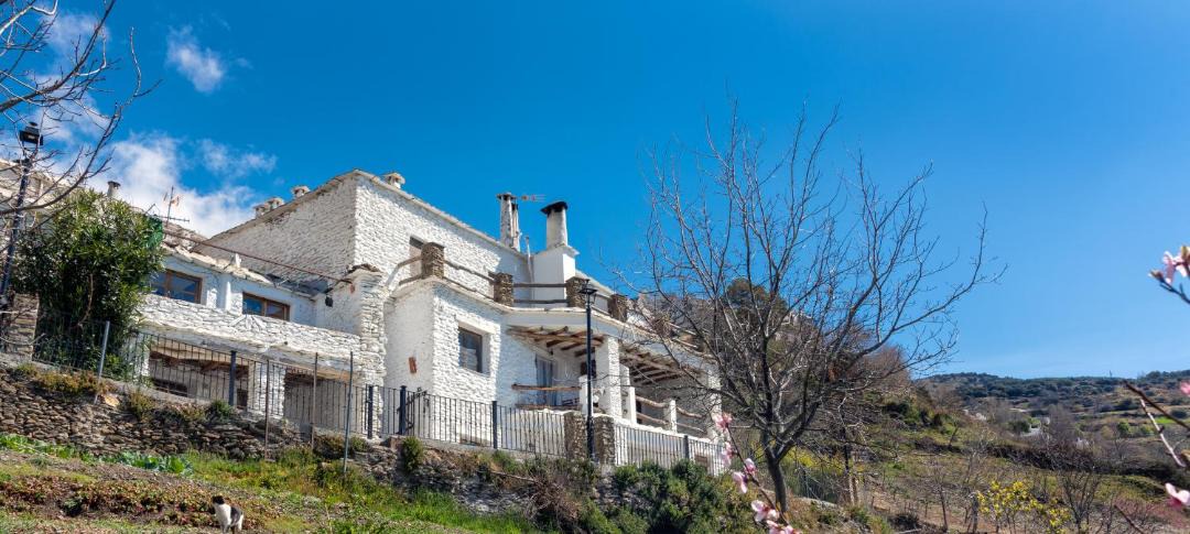 Photo of Others in Capileira