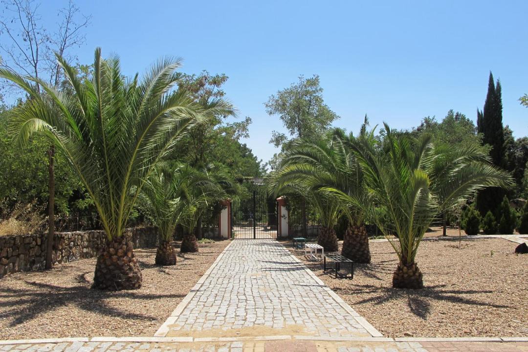 Photo of Others in Medina de las Torres