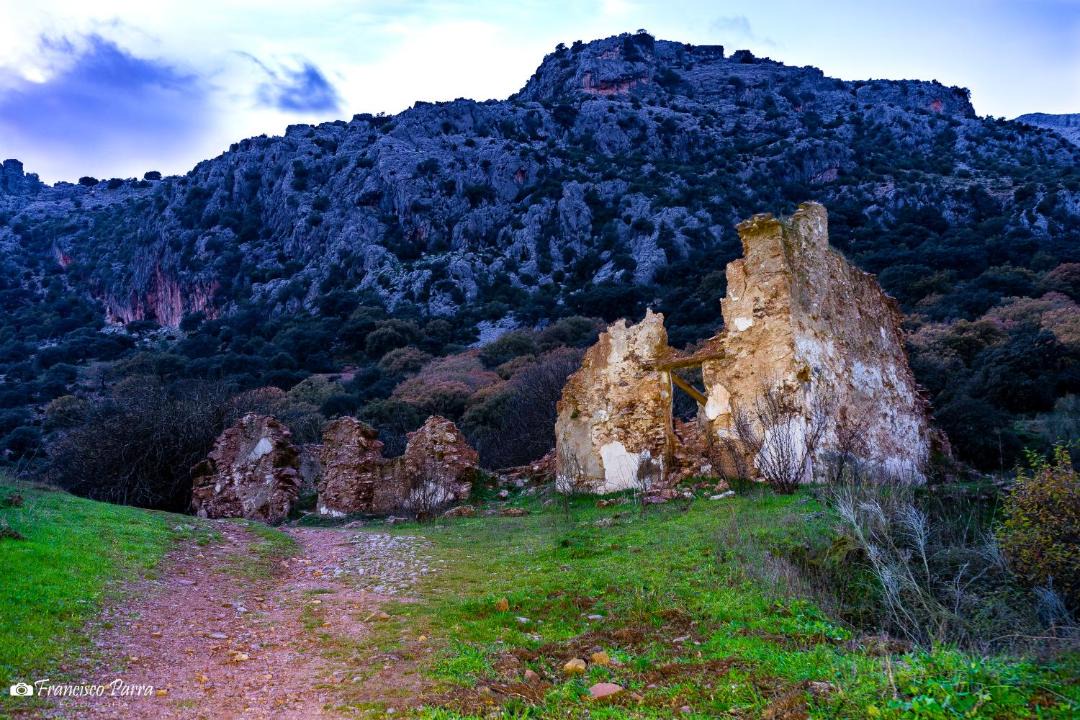 Photo of Others in Benaojan