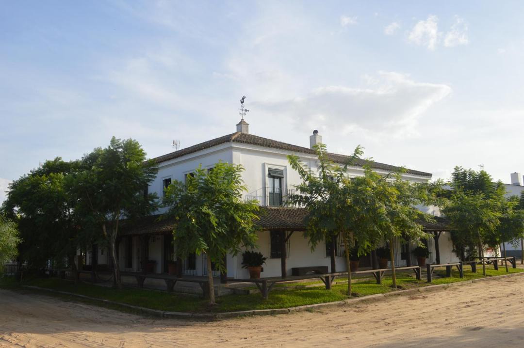 Photo of Others in El Rocio
