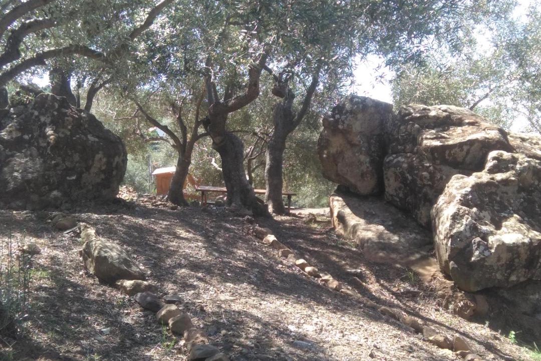 Photo of Others in Comarca de Antequera