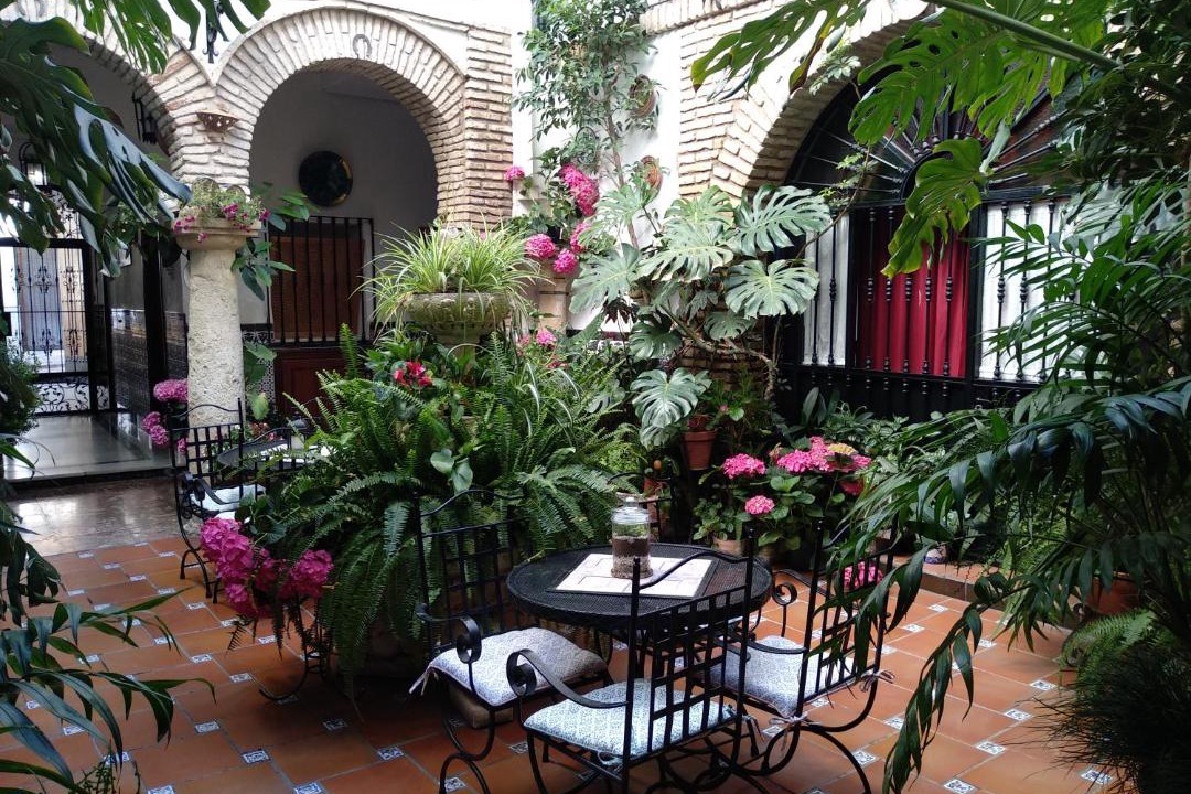 Photo of Patio Balcony in San Francisco-Ribera