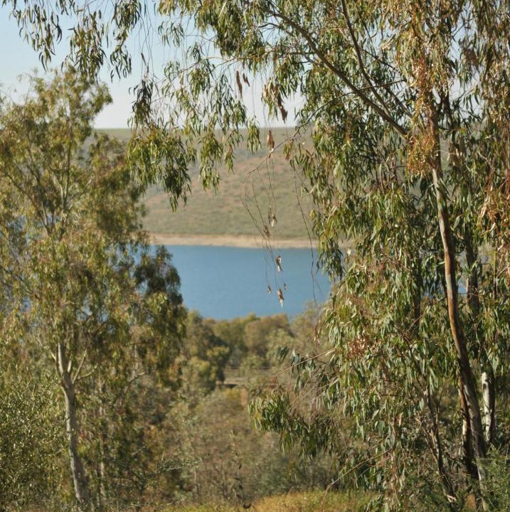 Photo of Others in Castuera