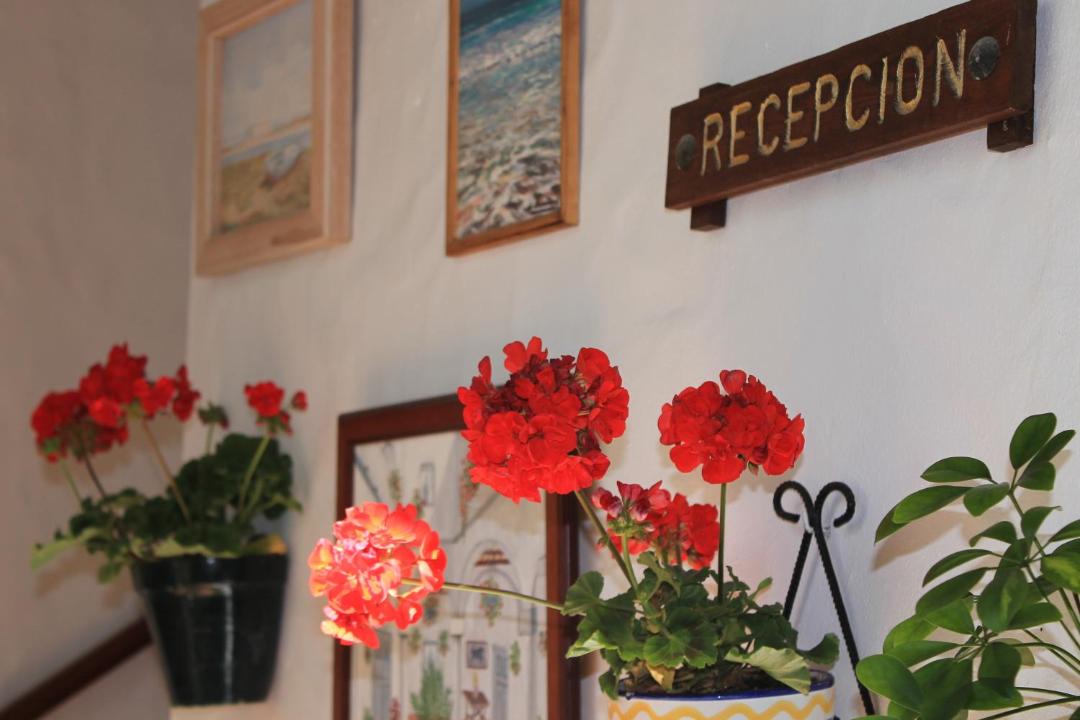 Photo of Others in Conil de la Frontera City Center