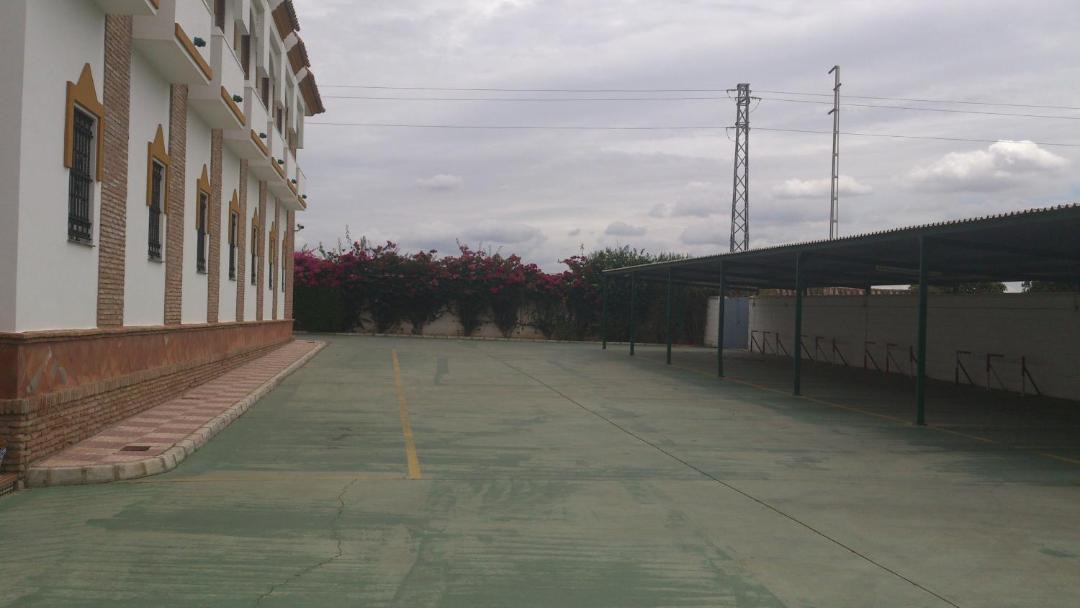 Photo of Others in Carmona