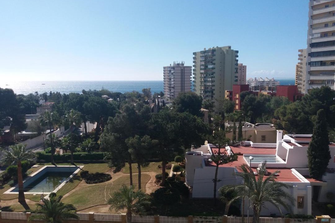 Photo of Others in Aguadulce