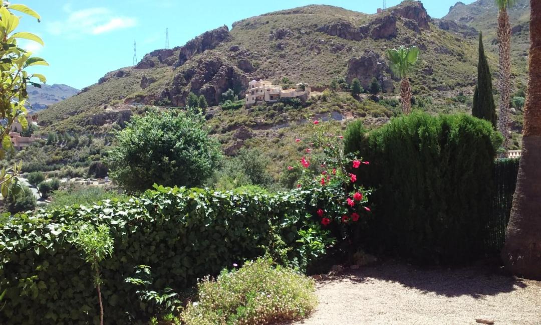Photo of Others in Turre