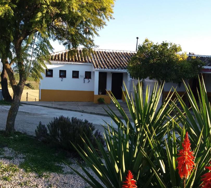 Photo of Others in Prado del Rey