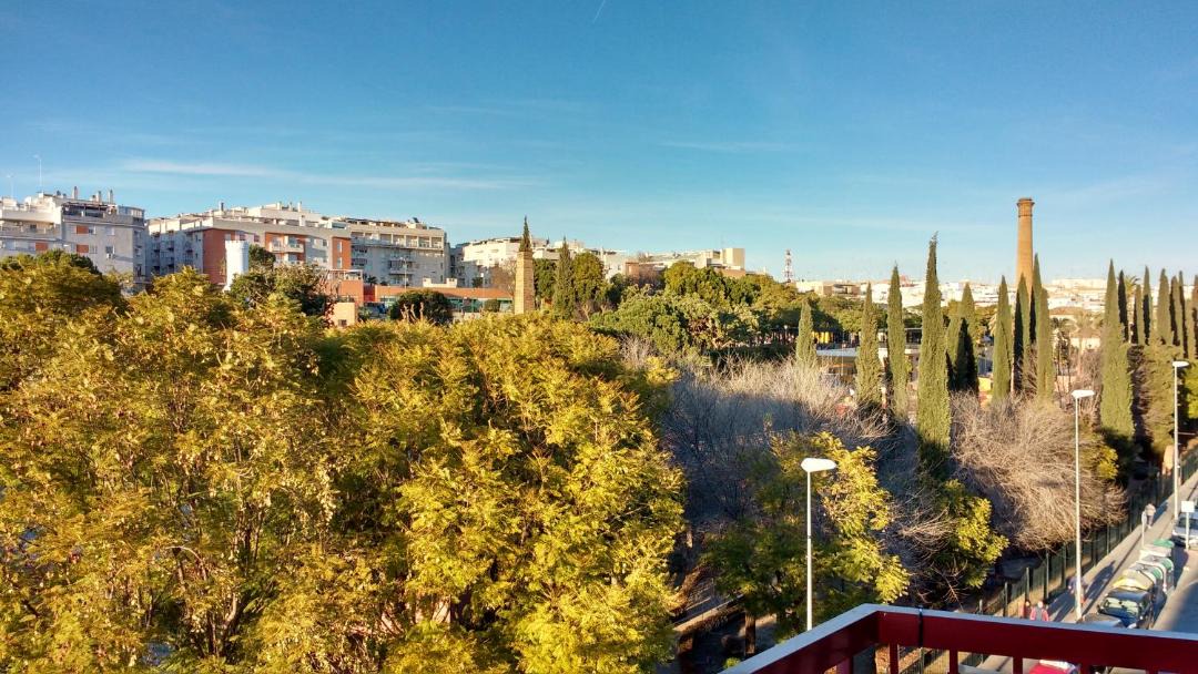 Photo of Others in Alcala de Guadaira