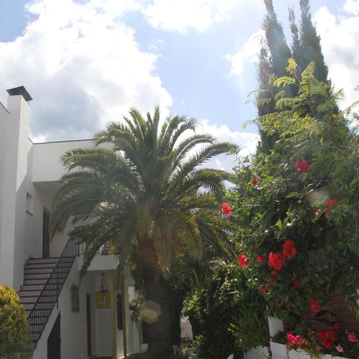 Photo of Others in Nerja