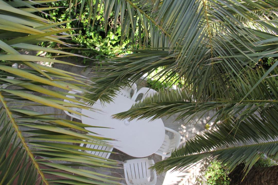 Photo of Others in Nerja