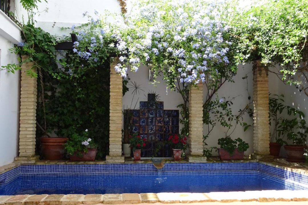 Photo of Others in Medina-Sidonia