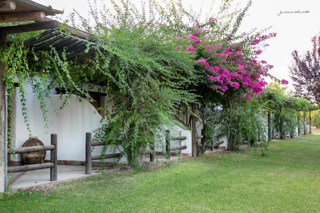 Photo of Others in Villamanrique de la Condesa