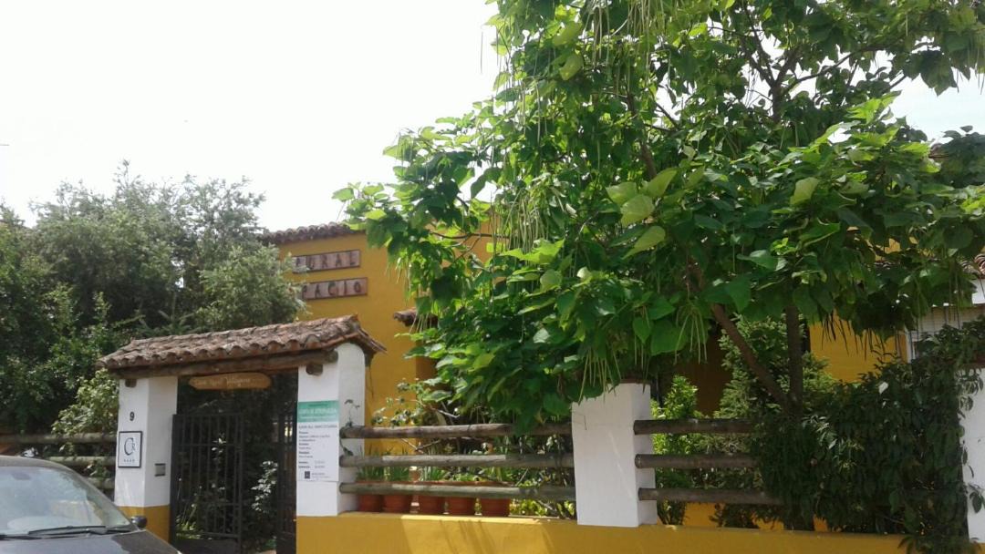 Photo of Others in Valdecaballeros