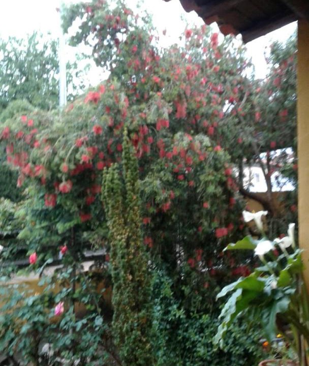 Photo of Others in Valdecaballeros