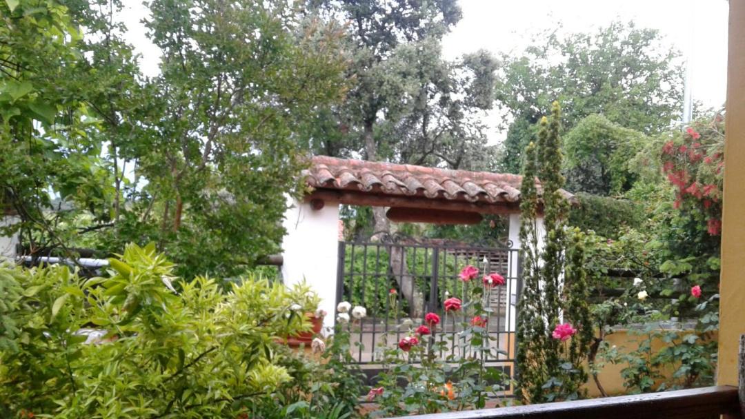 Photo of Others in Valdecaballeros