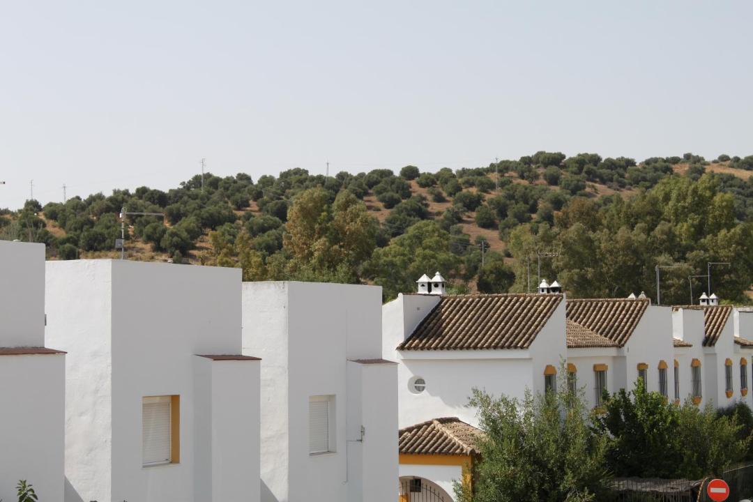 Photo of Others in El Bosque