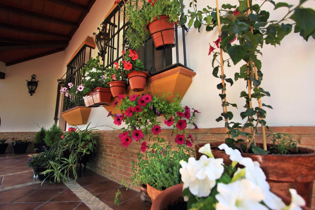 Photo of Patio Balcony in Priego de Cordoba