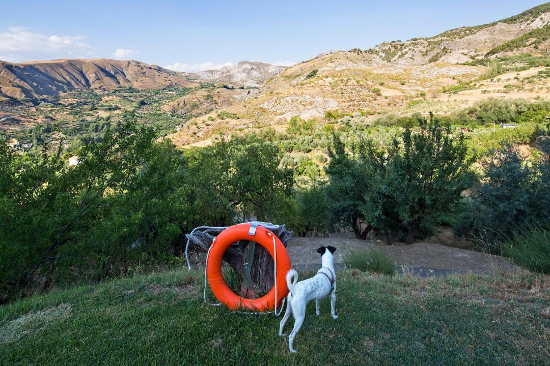 Photo of Others in Monachil