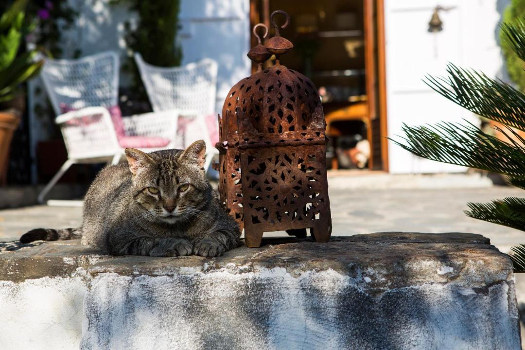 Photo of Others in Monachil
