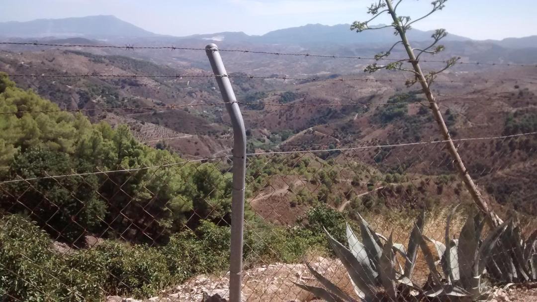 Photo of Others in Yunquera