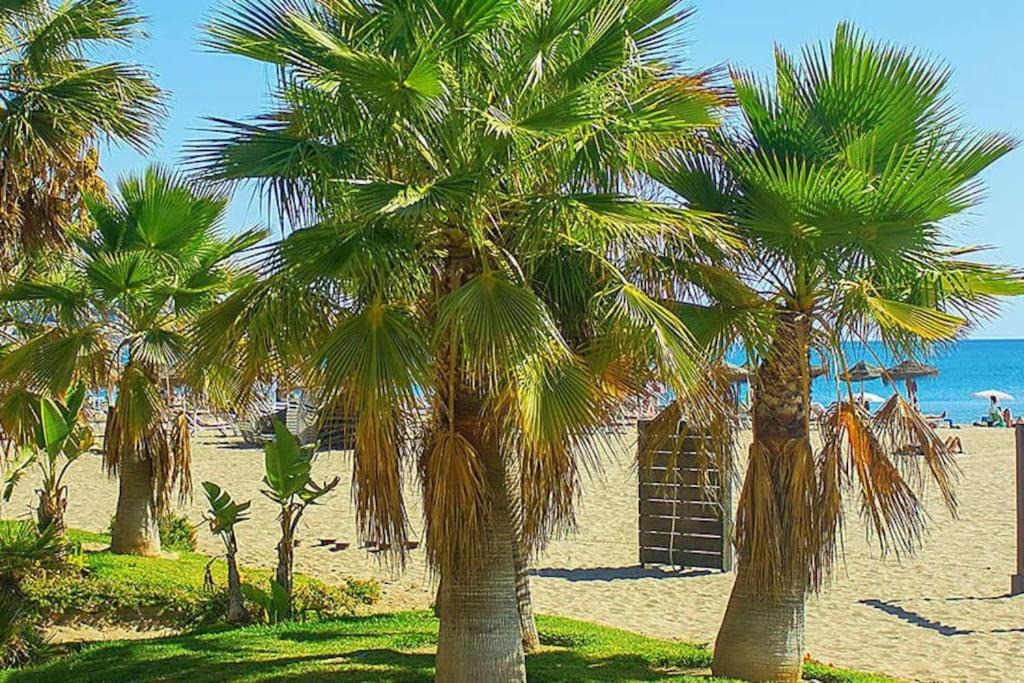 Photo of Outdoor in Fuengirola City Centre