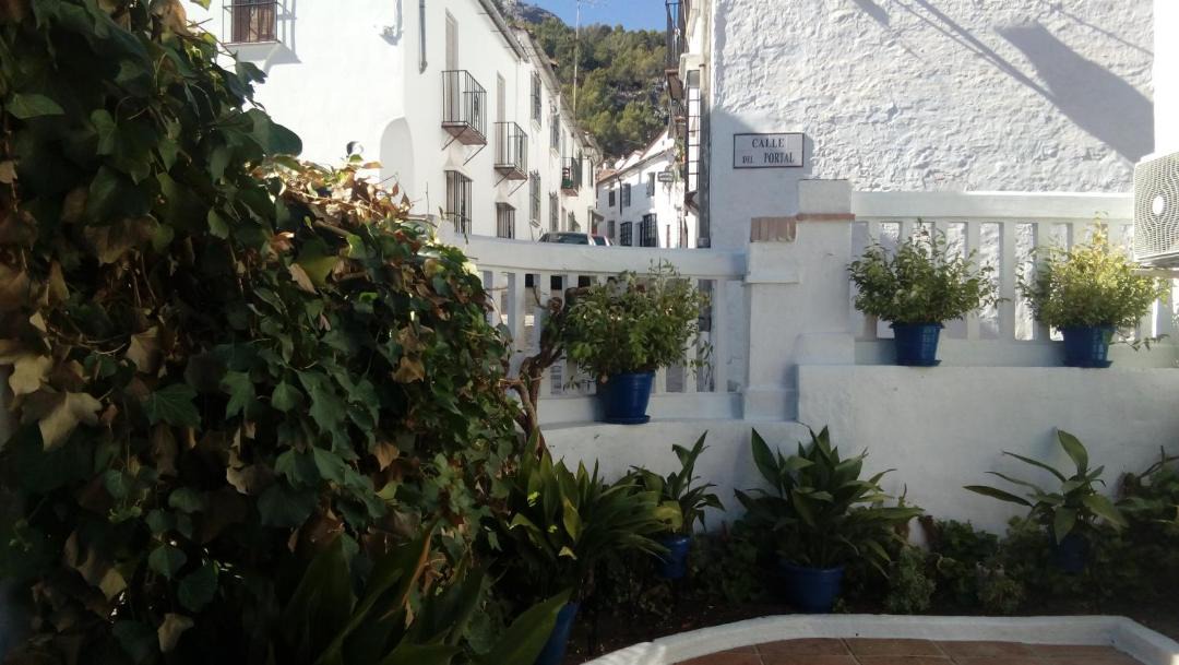 Photo of Others in Grazalema