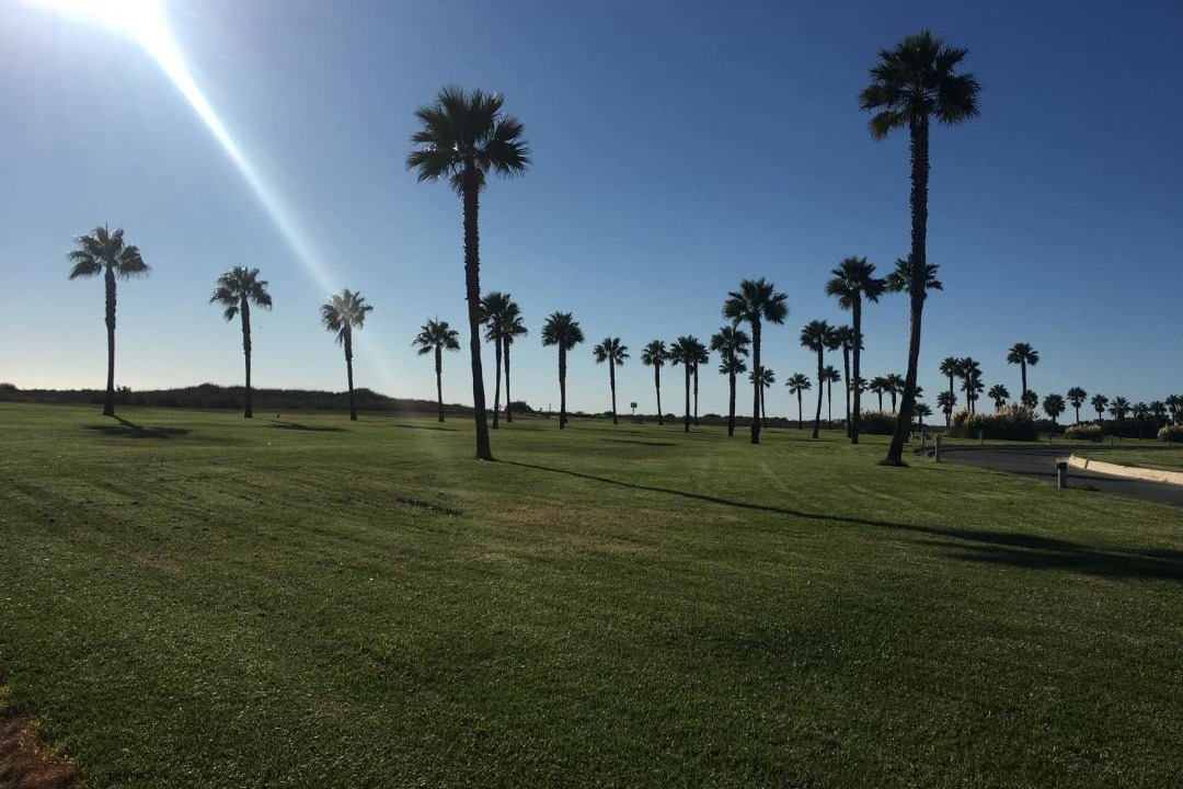 Photo of Others in Rota