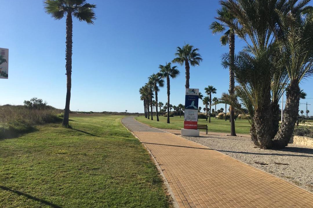 Photo of Others in Rota