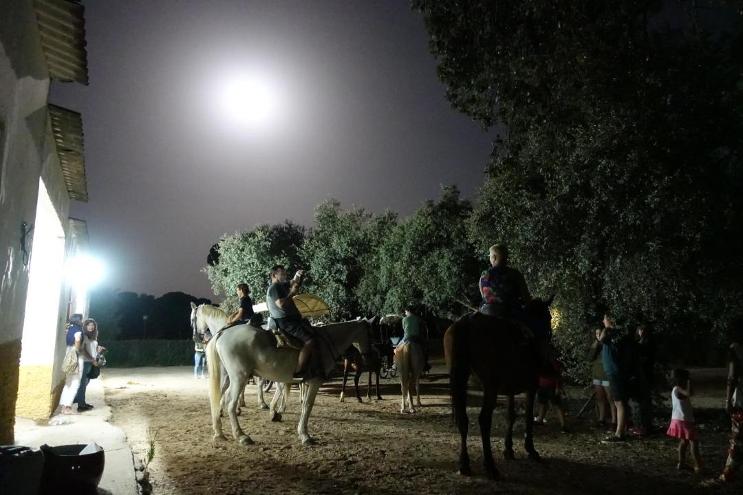 Photo of Others in Villamanrique de la Condesa
