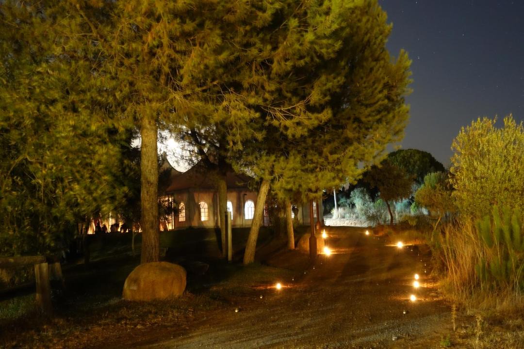 Photo of Others in Villamanrique de la Condesa
