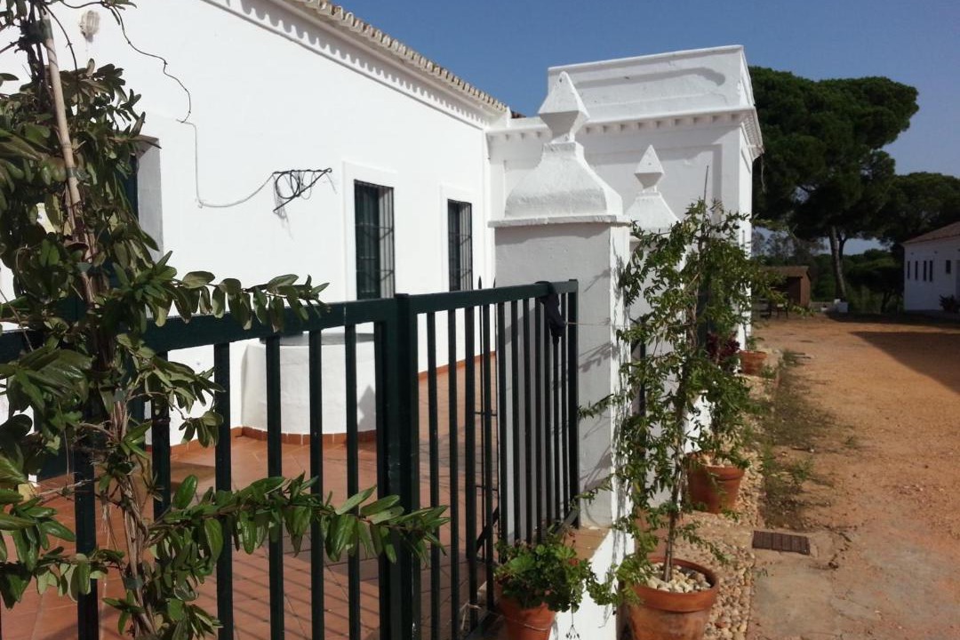 Photo of Buildings in Cartaya