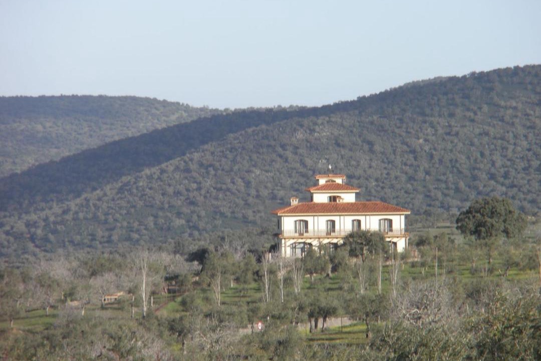 Photo of Others in Salvatierra de los Barros