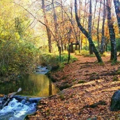 Photo of Others in El Bosque