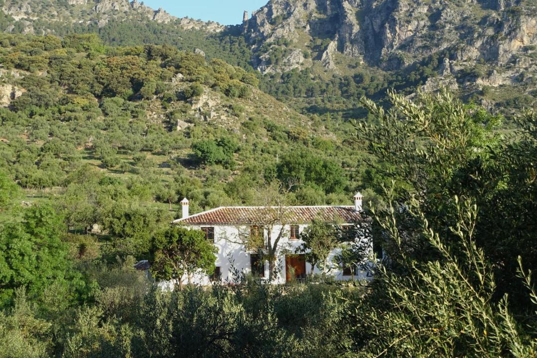Photo of Others in Grazalema