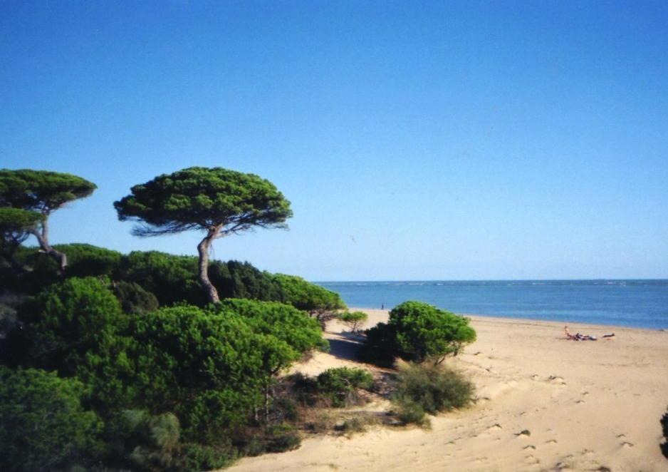 Photo of Outdoor in El Portil