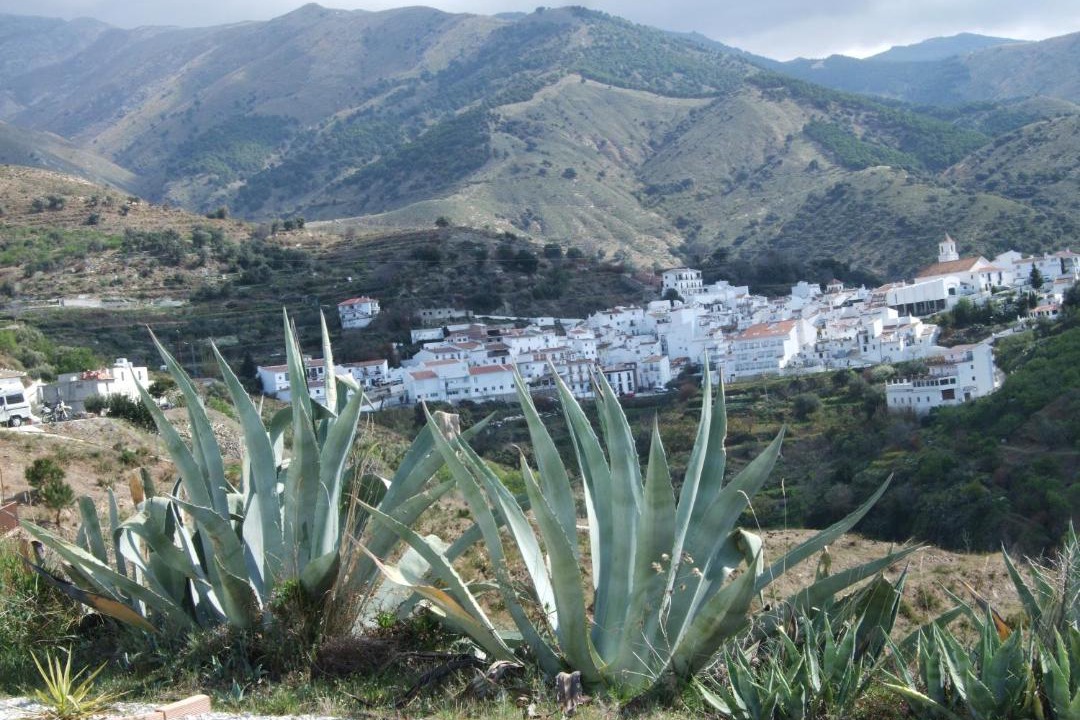 Photo of Others in Sedella
