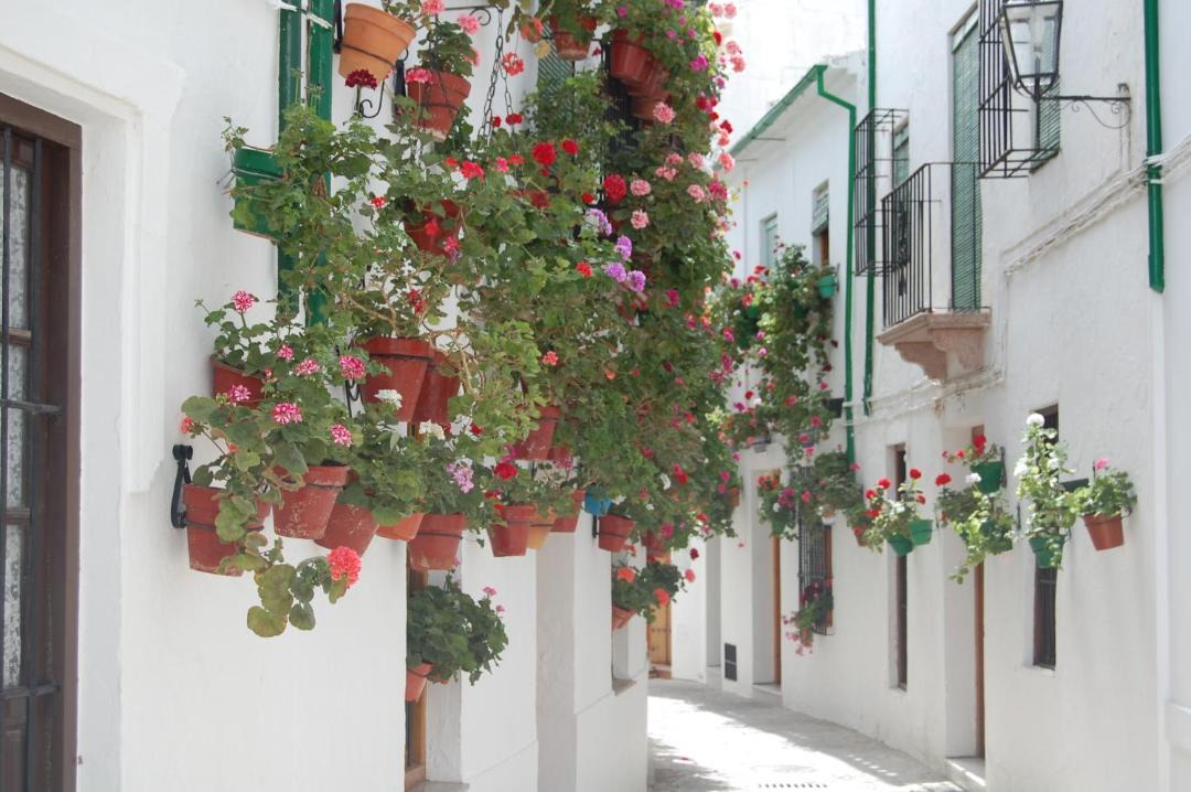 Photo of Others in Barrio de la Villa