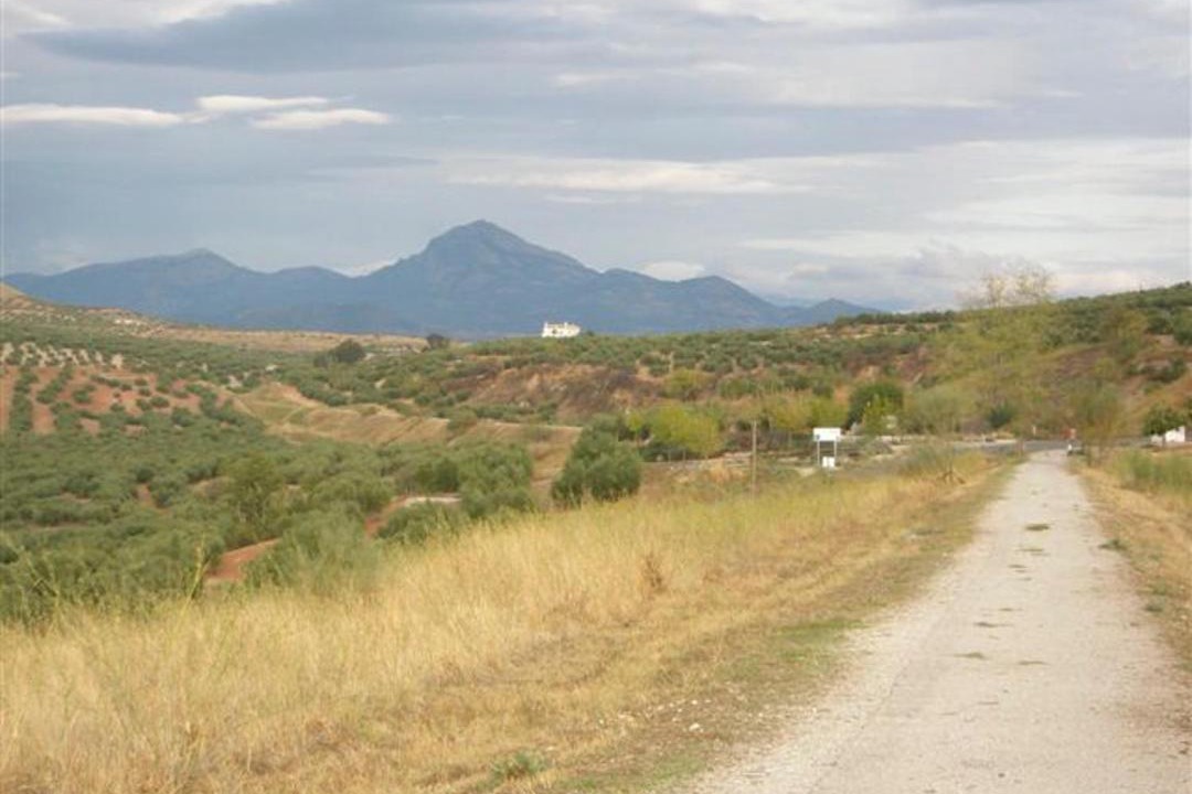 Photo of Others in Luque
