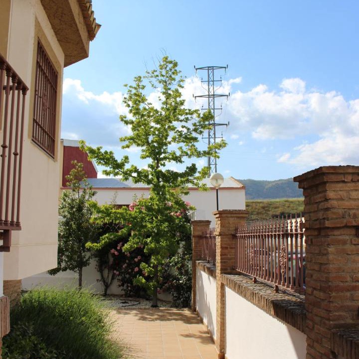Photo of Others in Campillo de Arenas
