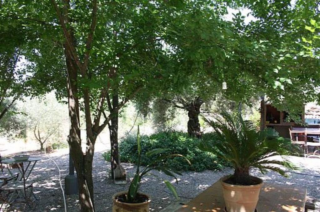Photo of Others in Hornachuelos