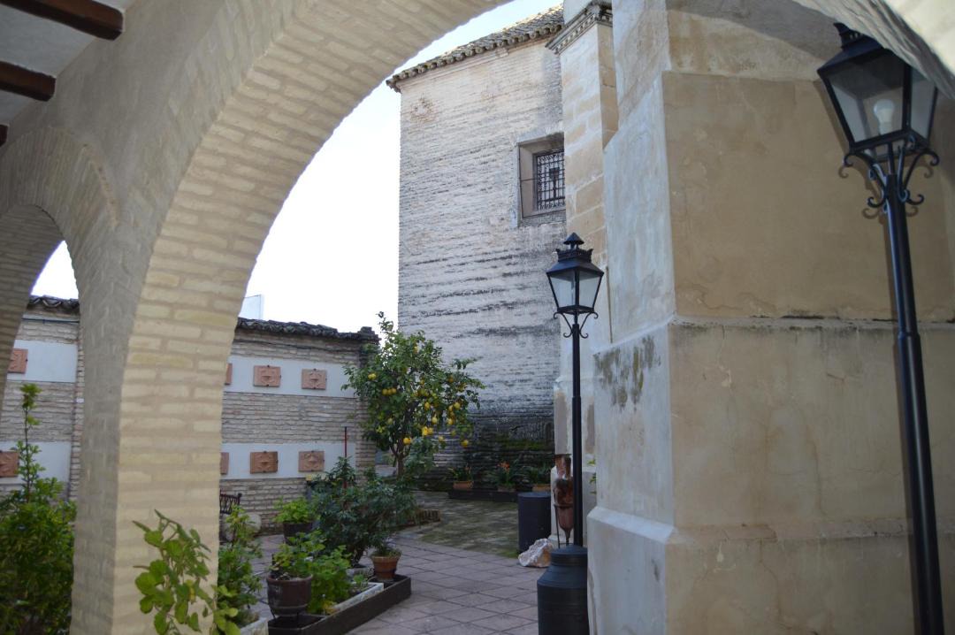 Photo of Others in Montemayor