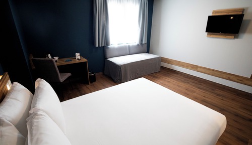 Triple Room (single use )