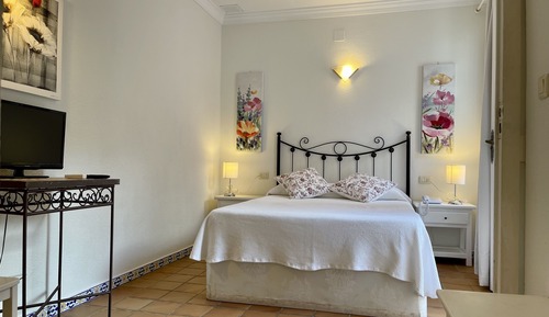 Classic Double or Twin Room, Terrace