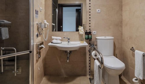 Standard Room, 1 King Bed, Accessible
